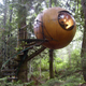 Illustration for article titled These Are The Most Amazing Tree Houses Ever